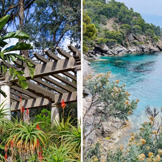 Le domaine du Rayol, le jardin des Méditerranées situé dans le Var fait partie du conservatoire du littoral.